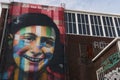 Portrait of Anne Frank in a mural in Amsterdam. A large painting