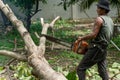 Portrait of arborist cutting the log by chainsaw machine with sawdust splash around. Motion blurred of sawing chainsaw