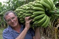 Portrait of Argentine farmer carrying banana bunch