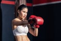 Portrait of Asian beautiful sport girl athlete wear boxing gloves, practice hitting and punching to maintain muscle for health. Ac