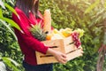 Woman farmer standing hold full fresh food raw vegetables fruit in a wood box Royalty Free Stock Photo