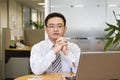 Portrait of asian business executive Royalty Free Stock Photo