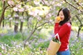Asian Chinese woman beauty girl in a flower field in a spring summer autumn park smell fruit orange enjoy cozy life Royalty Free Stock Photo