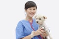 Portrait of Asian female veterinarian examining dog over gray background