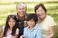 Portrait Asian grandparents and grandchildren in park