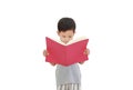 Portrait of Asian little baby boy age about 3 years old reading a book on white isolated background with clipping path. Education Royalty Free Stock Photo