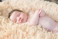 Portrait of asian parent hands holding newborn baby fingers, Closeup mother s hand holding their new born baby. Love family Royalty Free Stock Photo