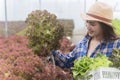 Portrait of an Asian woman holding a basket of fresh vegetables and organic vegetables from the farm. Vegetable cultivation and Royalty Free Stock Photo