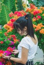 Portrait Asian woman in a white t-shirt with a black Thai traditional sarong, she is touching Bougainvillea flower on a Royalty Free Stock Photo