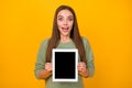 Portrait of astonished crazy girl present incredible modern technology promotion hold tablet impressed scream wow omg