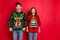 Portrait of astonished two people wife with brunette hair scream wow enjoy deer christmas pattern fashion jumper wear