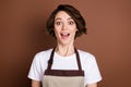 Portrait of attractive amazed impressed cheerful girl good news reaction isolated over brown color background
