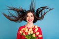 Portrait of attractive cheerful girl holding in hands tulips wind blows long hair occasion isolated over bright blue Royalty Free Stock Photo