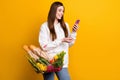 Portrait of attractive cheerful girl using device carrying buyings cart organic menu over bright yellow color