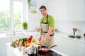 Portrait of attractive cheerful guy preparing fresh domestic lunch restaurant delicious gourmet life at home kitchen