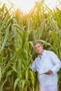 Portrait of Attractive Crop scientist wearing lab coat while using digital tablet against corn plant growing in field Royalty Free Stock Photo