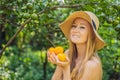 Portrait of Attractive Farmer Woman is Harvesting Orange in Organic Farm, Cheerful Girl in Happiness Emotion While Royalty Free Stock Photo