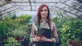Portrait of attractive red-haired woman gardener in apron standing inside large greenhouse and holding pot plant Royalty Free Stock Photo
