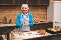 Portrait of attractive smiling happy senior aged woman is cooking on kitchen. Grandmother making tasty baking Royalty Free Stock Photo