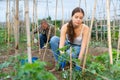 Portrait of a attractive woman digging ground in a garden Royalty Free Stock Photo