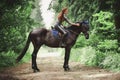 Portrait of attractive woman riding black hanoverian stallion horse