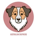 Portrait of Australian Shepherd. Vector illustration