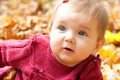 Portrait of autumn baby girl Royalty Free Stock Photo