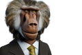 Portrait of Baboon in a business suit - Digital 3D Illustration on white background