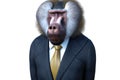 Portrait of Baboon in a business suit - Digital 3D Illustration on white background
