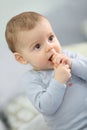 Portrait of a baby boy eating a biscuit Royalty Free Stock Photo