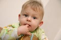 Portrait of a baby boy who holds his finger in his mouth Royalty Free Stock Photo