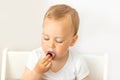 Portrait of a baby boy 2 years old on a white isolated background and eating a berry, baby food concept, place for text Royalty Free Stock Photo