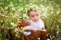 Portrait of a baby girl 7 months old sitting on a chamomile field in a wreath in a white dress, a healthy walk in the fresh air Royalty Free Stock Photo