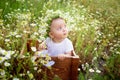 Portrait of a baby girl 7 months old sitting on a chamomile field in a wreath in a white dress, a healthy walk in the fresh air Royalty Free Stock Photo