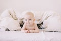 Portrait of baby hiding under the white blanket. Cute 8 month baby girl crawling in bed. Tummy Time. Textile and bedding for kids