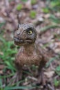 Portrait of a baby tyrannosaurus rex