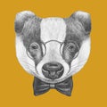 Portrait of Badger with glasses and bow tie.