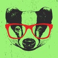 Portrait of Badger with glasses.