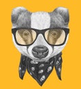 Portrait of Badger with glasses and scarf.