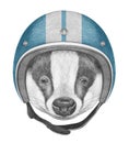 Portrait of Badger with Helmet.