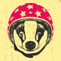 Portrait of Badger with Helmet.