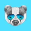 Portrait of Badger with mirror sunglasses.