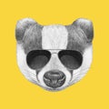Portrait of Badger with sunglasses.