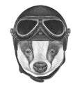 Portrait of Badger with Vintage Helmet.