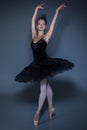 Portrait of the ballerina in ballet tatu on blue Royalty Free Stock Photo