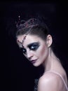 Portrait of the ballerina in the role of a black swan on black background Royalty Free Stock Photo