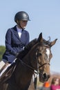 Portrait of a Bay Hunter Jumper Gelding