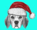 Portrait of Beagle Dog with Santa Hat.