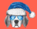 Portrait of Beagle Dog with Santa Hat and sunglasses.