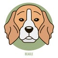 Portrait of Beagle. Vector illustration